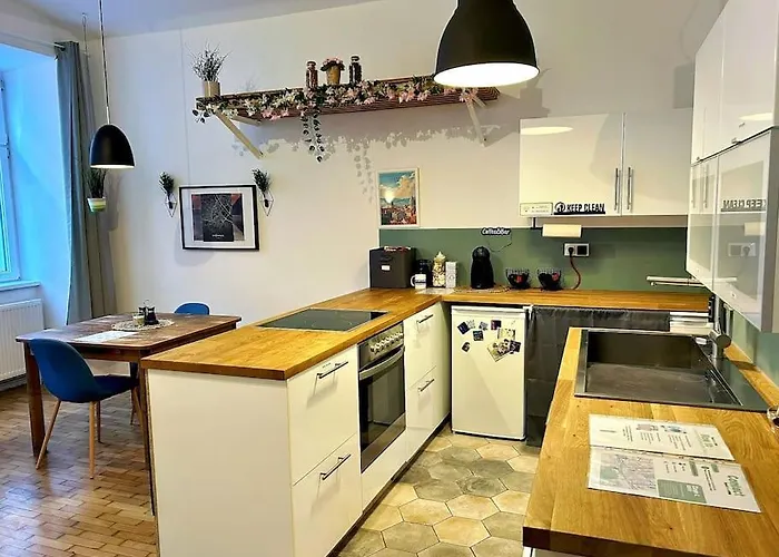 דירה 2-bedroom With Small Courtyard - Center וינה